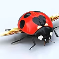 Red Ladybug With Black Spots Yellow Wings Black Body And White Head Spots