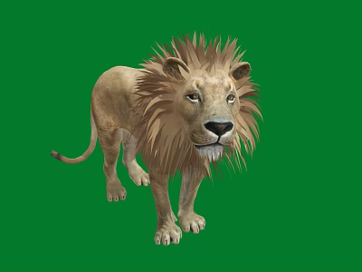 Majestic Lion With a Thick Mane Isolated Standing on Green Background 3d model