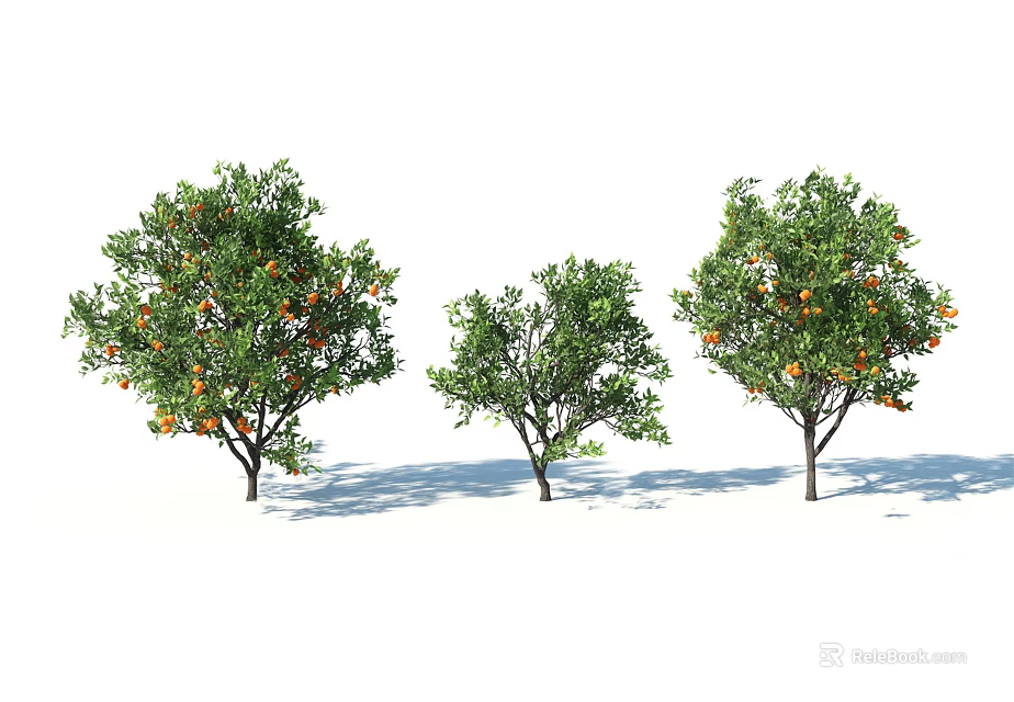 Three Arbor Trees With Green Leaves And Orange Fruits Casting Shadows 3d model 