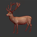 Realistic Light Brown Deer With Large Antlers Standing On Black Background 3d model