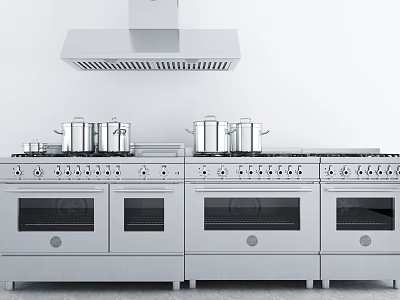 Stainless Steel Kitchen Cooking Appliances With Stove Range Hood And Pots 3d model