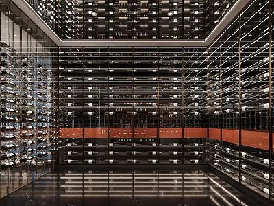Elegant Modern Wine Cellar Interior With Organized Metal Racks And Glass Bottles 3d model