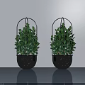 Two Green Potted Plants in Black Spotted Pots With Metal Frames Against Light Gray Wall