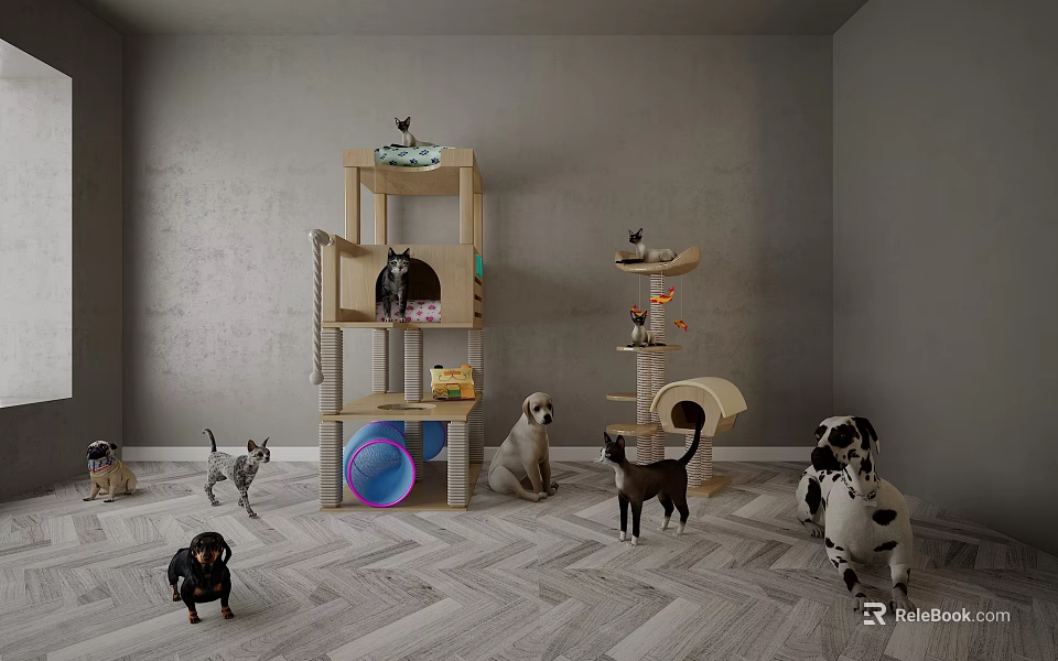 Reptile Habitat Furniture Setup With Gray Walls Wooden Floor And Pet Accessories 3d model 