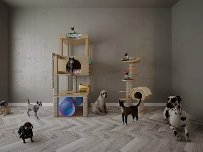 Reptile Habitat Furniture Setup With Gray Walls Wooden Floor And Pet Accessories 3d model