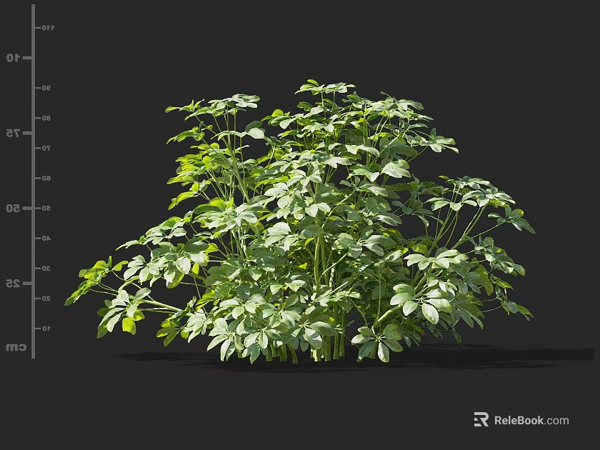 Lush Green Leaf Shrub With Healthy Growth And Ideal Size For Garden Landscaping 3d model 
