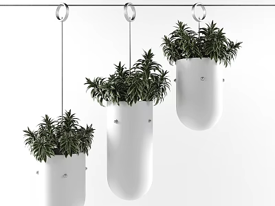 Modern Decorative Ornament Set with Hanging White Planters and Green Plants 3d model