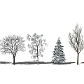 Various Arbor Tree Types With Different Forms And Natural Silhouettes In Row 3d model