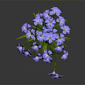 Purple Blooming Flowers With Green Stems And Leaves On Dark Background
