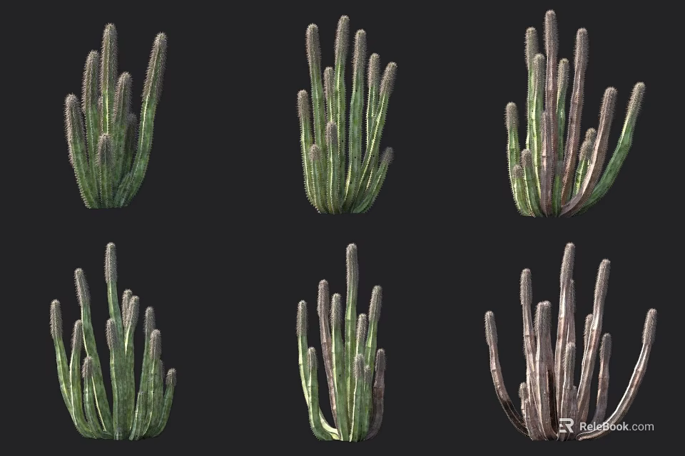 Different Types Of Potted Succulent Plants With Green Stems And Varied Growth Shapes 3d model 