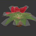 Red Poinsettia Potted Plant With Bright Green Leaves And Orange Decorative Pot