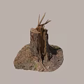 Natural Wood Stump With Rough Stone Base And Twigs In Outdoor Setting