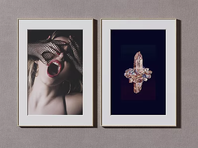 Two Framed Artworks Featuring Woman With Mesh And Decorative Cross Design 3d model
