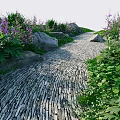 Waterfront Landscape With Stone Path Purple Flowers Green Plants And Rocks