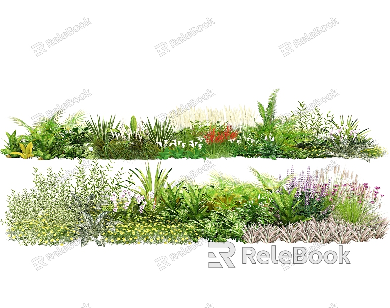 Plant Combination Plant Group Courtyard Flowers and Plants Landscape Grass Vegetation model