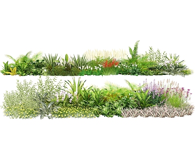 Plant Combination Plant Group Courtyard Flowers and Plants Landscape Grass Vegetation model