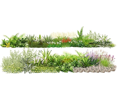 Plant Combination Plant Group Courtyard Flowers and Plants Landscape Grass Vegetation 3d model