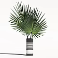 Modern Black and White Striped Vase with Green Fan Shaped Palm Leaves Decorative Plant