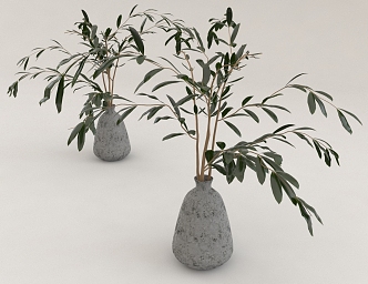 potted plant 3d model