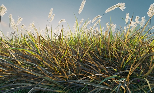 combination of flowers and plants landscape shrubs plant combination natural landscape weeds 3d model