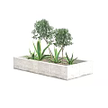 Potted Plants In Stone Rectangular Planter With Small Trees And Agave Like Plants