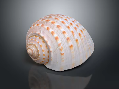 Vibrant Marine Snail With Spiral Shell And Orange Spots On Dark Reflective Background 3d model