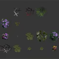 Various Types Of Decorative Household Plants And Colorful Flowers For Home Decoration