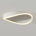 Modern White Ceiling Light Fixtures Featuring Curved Leaf and Circular Design Styles with Illumination