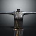 Women's Black Tight Top With Golden Lines Design And High Neck Long Sleeves