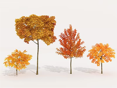 Autumn Arbor Trees With Vibrant Yellow And Red Foliage In Group 3d model