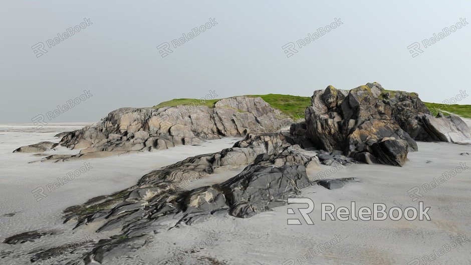 Modern Beach Stone Beach Reef model