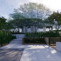 Lush Courtyard Garden With Green Plants Stone Paved Path And Modern Building View