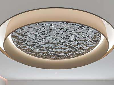 Modern Circular Ceiling Design With Textured Surface And Illuminated Frame 3d model