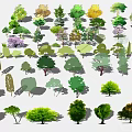 Diverse Colorful Flowers and Plants with Various Tree Shapes in Garden Setting