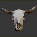 Natural Cow Skull Animal Wall Decor With Horns For Home Decoration