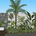 Tropical Garden Landscape With Palm Tree Various Plants White Flowers Marble Wall And Wooden Deck