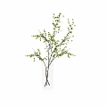Transparent Glass Vase With Brown Branches And Small Green Leaves For Home Decor