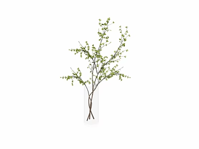Transparent Glass Vase With Brown Branches And Small Green Leaves For Home Decor 3d model