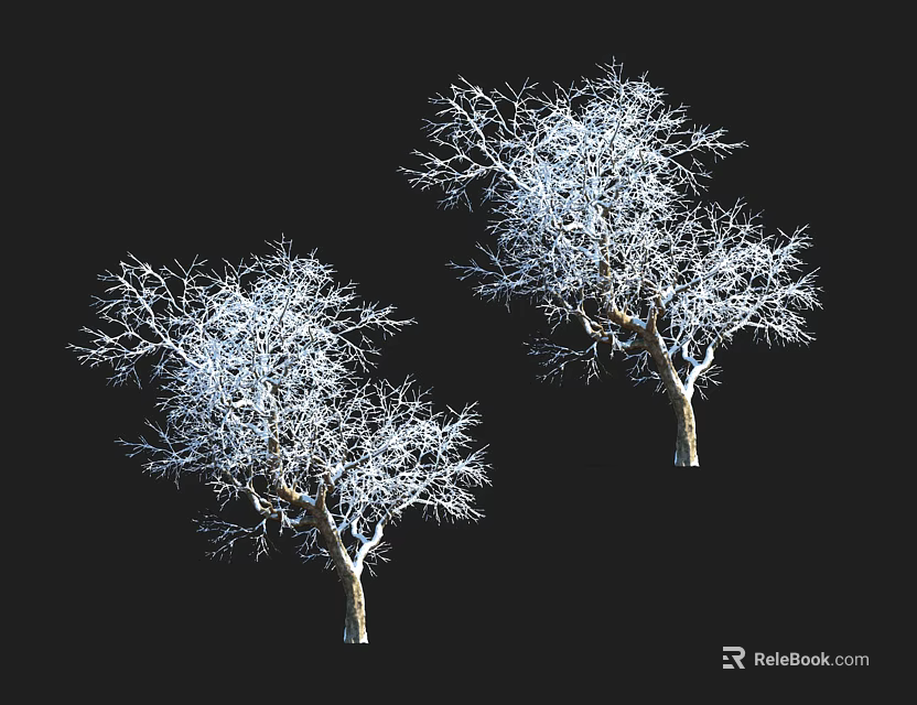 Deciduous Trees With Leafless Branch Structure On Black Background 3d model