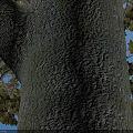 Arbor With Dark Purple Foliage Straight Trunk Green Base Gray Square Tiles Human Silhouette Scale
