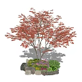 Beautiful Tree Pit With Red Leaf Maple Tree Stones And Colorful Flowers