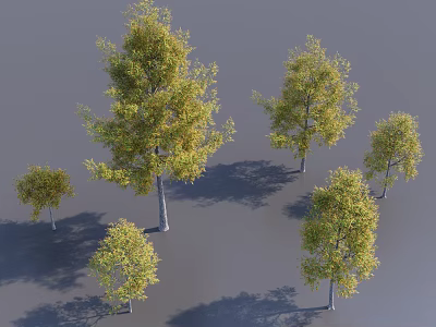 Multiple Arbor Trees With Various Sizes And Yellow Green Foliage Casting Shadows On Gray Background 3d model