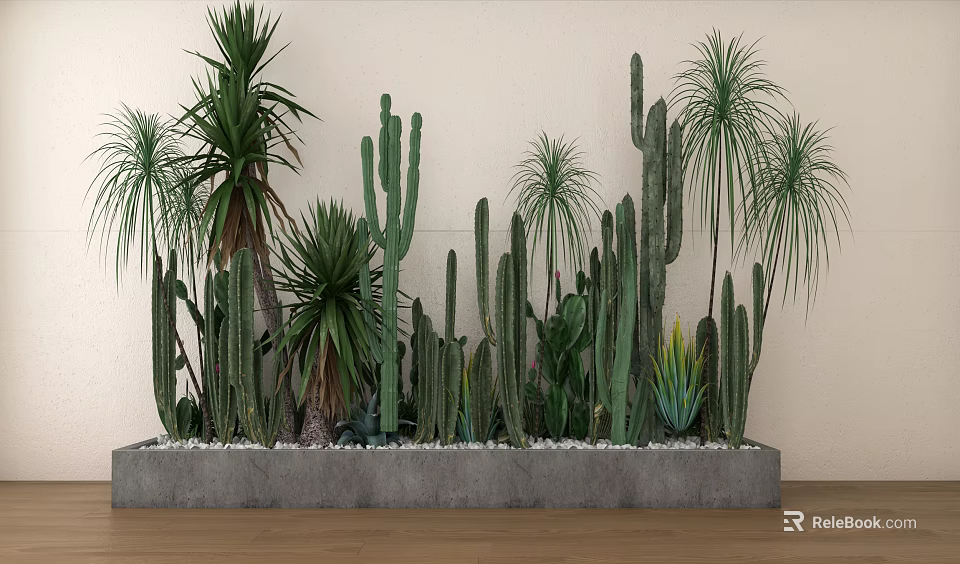 Indoor Cactus And Succulent Potted Plants In Concrete Planter With Pebbles 3d model 