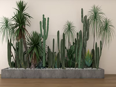 Indoor Cactus And Succulent Potted Plants In Concrete Planter With Pebbles 3d model