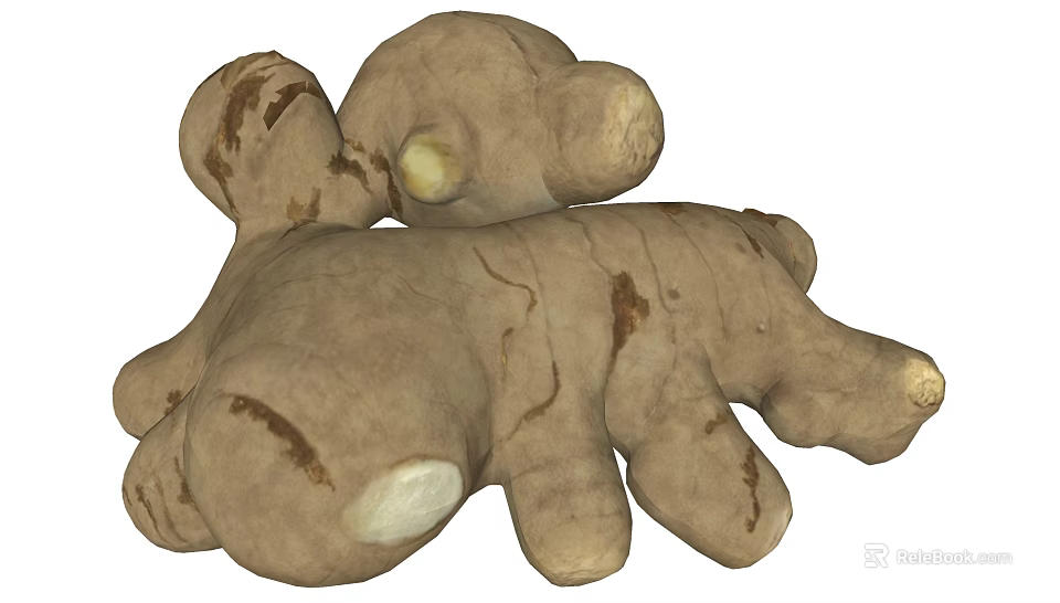 Fresh Ginger Root Vegetable With Natural Texture And Healthy Cooking Benefits 3d model