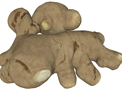 Fresh Ginger Root Vegetable With Natural Texture And Healthy Cooking Benefits 3d model