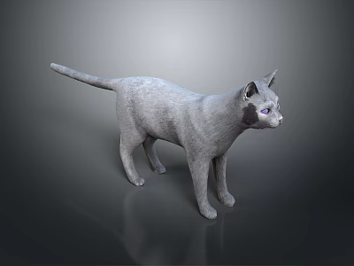 3D Model of Gray Cat With Purple Eyes in Standing Pose on Gray Gradient Background 3d model