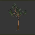 3D Rendered Tree With Orange Trunk And Green Foliage In Gray Background