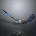 Blue and white bird flying with spread wings on gray background showing clear reflection below 3d model
