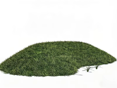 Natural Green Microtopography Landscape With Small Mound Covered In Lush Grass 3d model